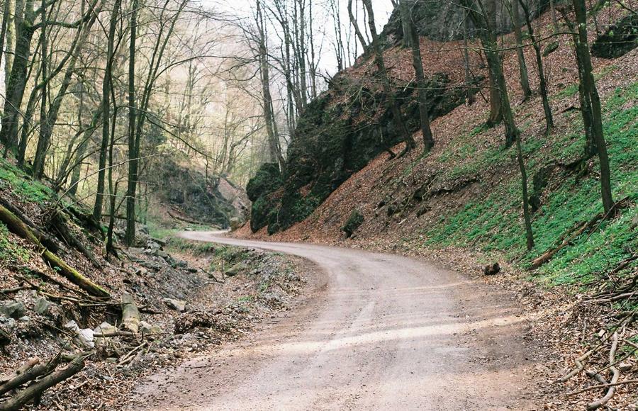 What 3 simple decisions changed my life for the better in the last 5 years?