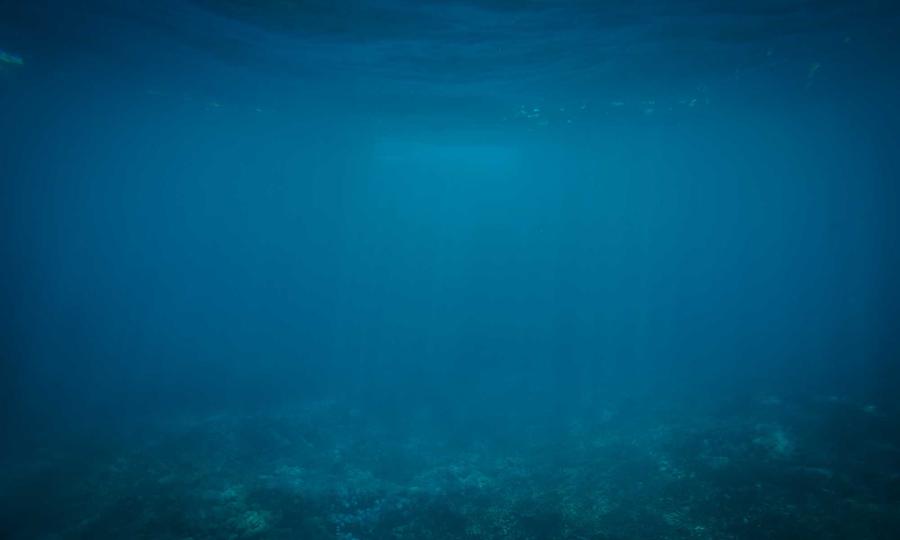 Is Masayoshi Son's wealth surge a sign of AI market dominance?