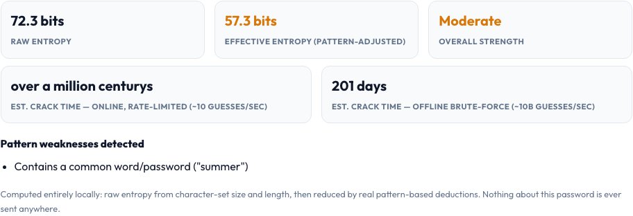Step 2 — Password Strength & Crack-Time Checker result